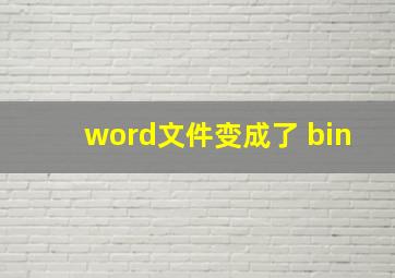 word文件变成了 bin